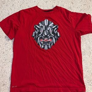 Nike Lebron DriFit Shirt